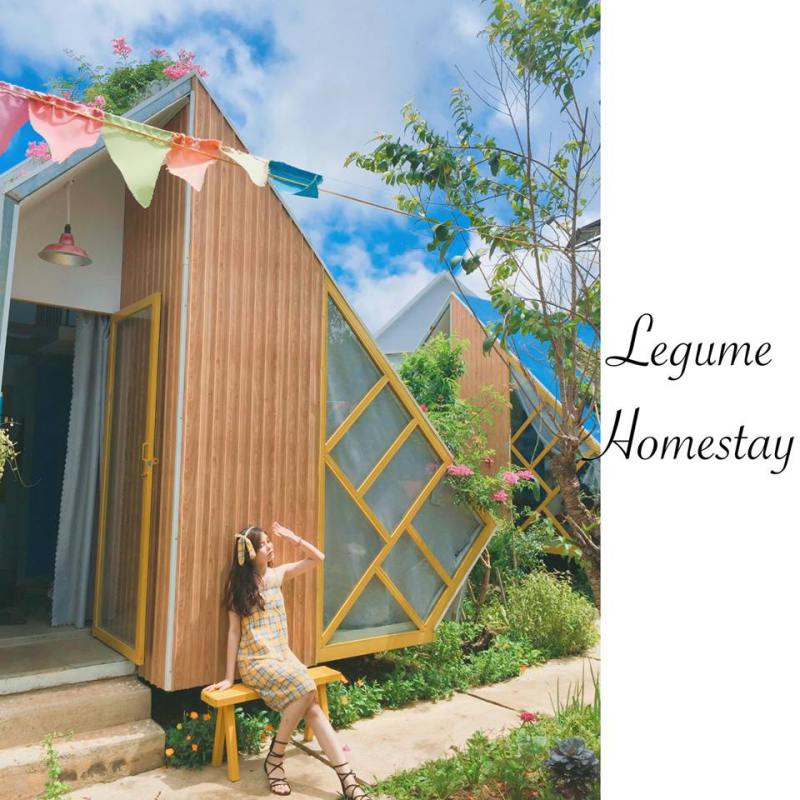 Check-in cùng Legume homestay Đà Lạt