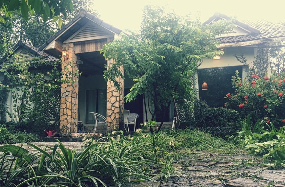 A House - Nhà tổ chim homestay gần hà nội