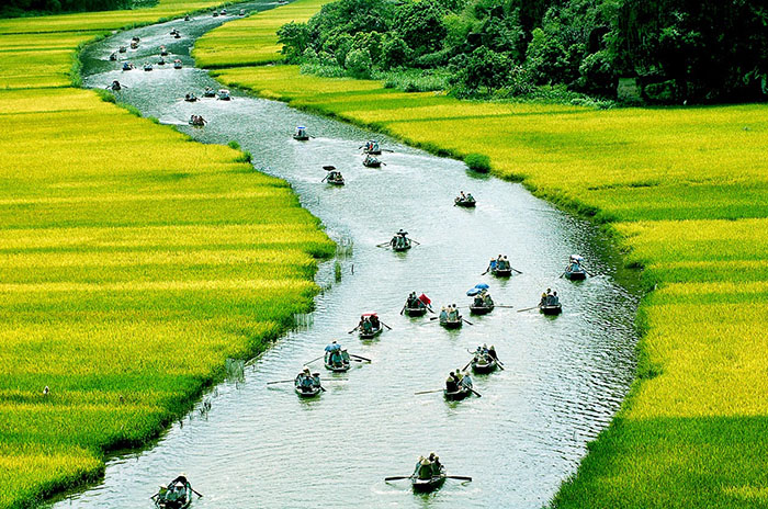 Quê hương đẹp nhất: Đến với hình ảnh về Quê hương đẹp nhất, bạn sẽ được ngắm nhìn cảnh đồi núi, ruộng bậc thang mênh mông tuyệt đẹp cùng những dòng suối mát mẻ trong veo. Hãy để tâm hồn bạn được hòa cùng với thiên nhiên đầy thuần khiết của quê hương Việt Nam.