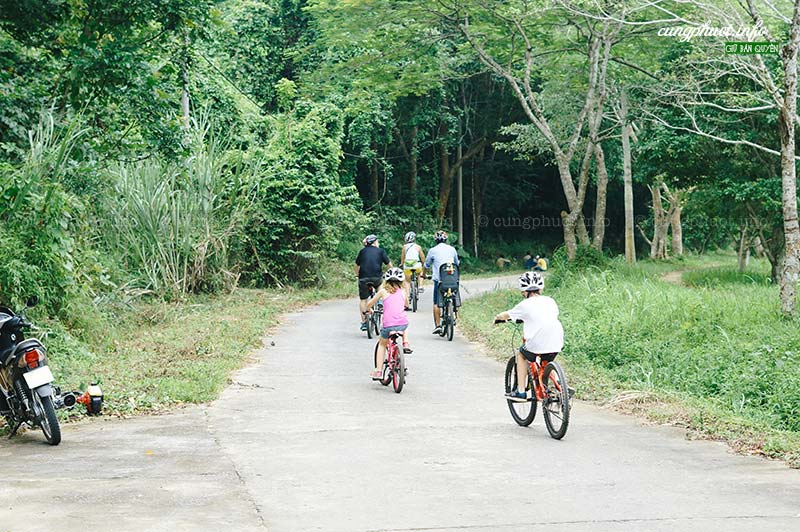 Tư vấn du lịch phượt, đặt phòng homestay ở Vườn Quốc gia Cúc Phương