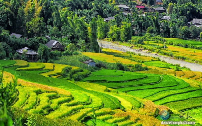đèo Khau Phạ