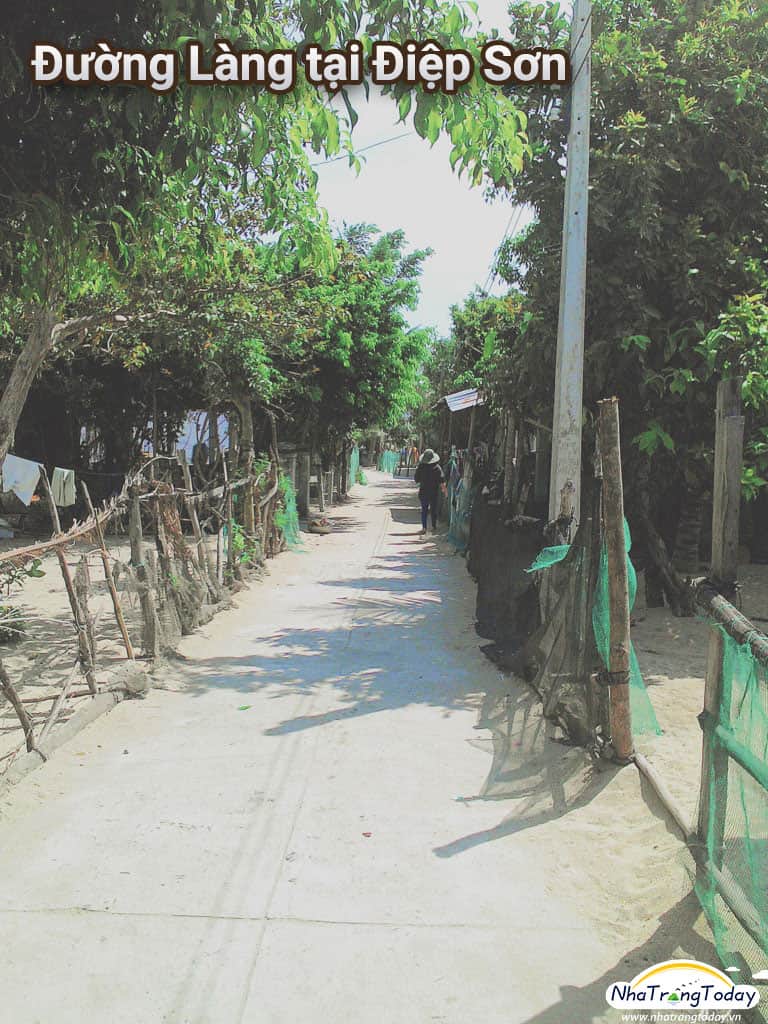 Con đường làng tại Điệp Sơn