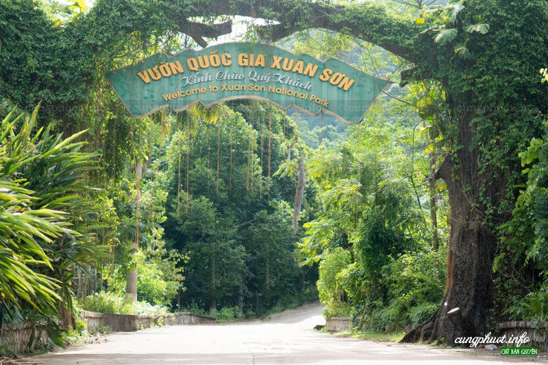 Kinh nghiệm du lịch Xuân Sơn, Phú Thọ