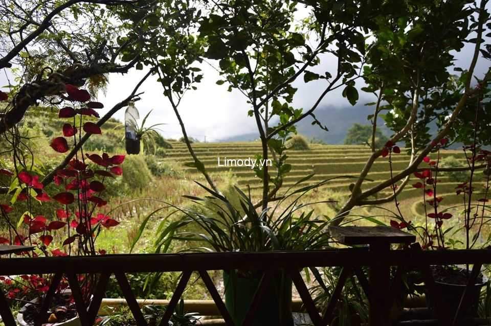 Top 30 homestay Sapa giá rẻ view đẹp gần trung tâm, chợ đêm dưới 500k