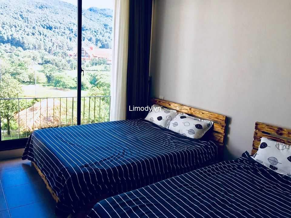 Top 20 homestay Tam Đảo Vĩnh Phúc giá rẻ view đẹp decor xinh dưới 500k