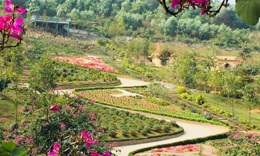 Homestay Vườn Nắng nằm gần Vườn Quốc Gia Ba Vì, cách trung tâm thành phố Hà Nội khoảng 40 phút đi xe