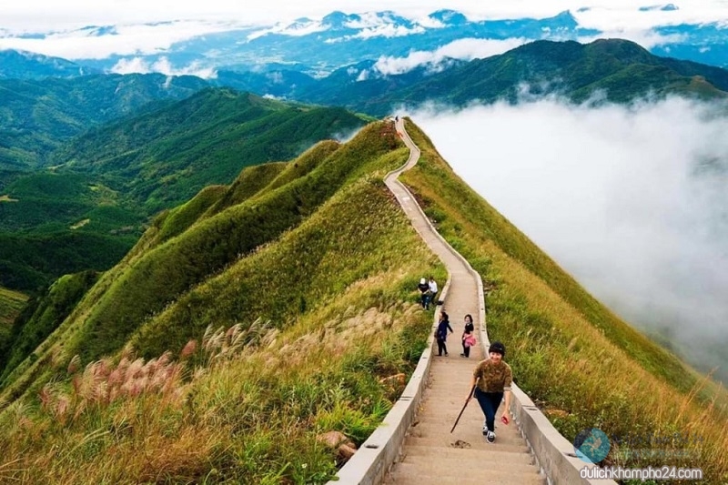 sóng lưng khủng long bình liêu